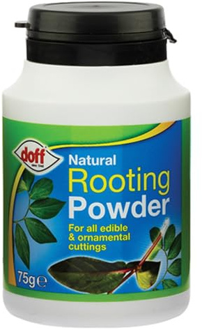 Natural Rooting powder 75g for all kinds of plants - Maintains Foster Healthy & Strong Roots - Edible Plants Cutting Feed Food Fertiliser