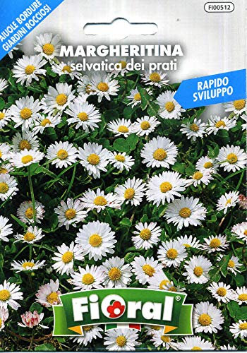Sementi da fiore di qualità in bustina per uso amatoriale (MARGHERITINA SELVATICA DEI PRATI)