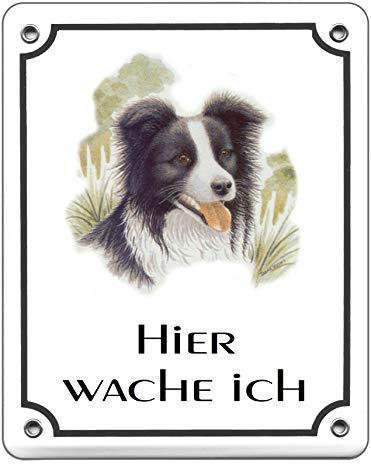 Border Collie-Emaille-Schild-120 x 100 mm-Hundeschild-Türschilder-Hund-Tiere-Email-Hinweisschild-Warnschild