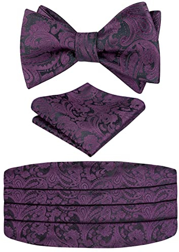 Alizeal Herren Neuheit Paisley Selbstgebundene verstellbare Fliege, Kummerbund und Taschentuch Set, Aubergine