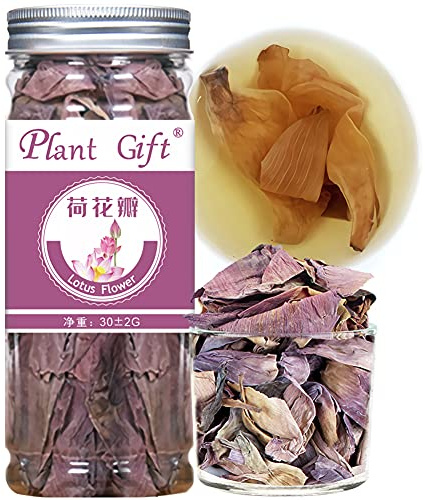 PlantGift 花茶 (Lotus Flower)