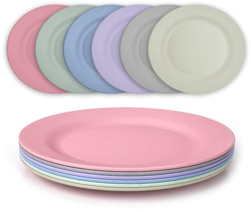 JSYMJSY Teller Set, 6Teilig 28cm Groß Speiseteller Bruchfest, Plastik Essteller Mehrweg, Camping Teller, Leicht, Kunststoff BPA-Frei, Mikrowellenfest Spülmaschinenfest, Bunt