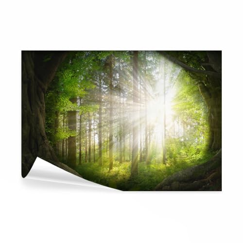 decomonkey Premium Fototapete Wald 350x256 cm Tapete Fototapeten Vlies Tapeten Vliestapete Wandtapete moderne Wand Wandbild Schlafzimmer Wohnzimmer Landschaft Natur Baum Sonne