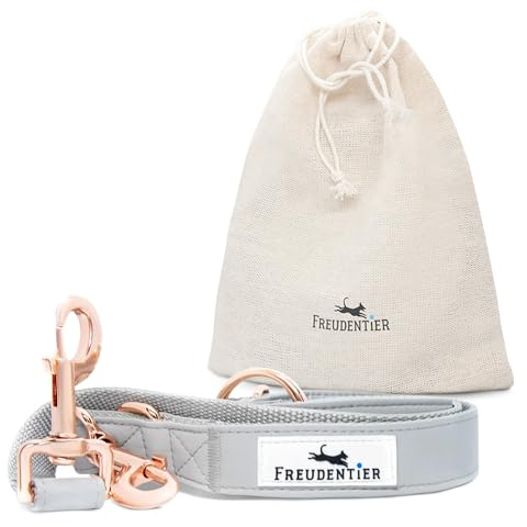 FREUDENTIER Hochwertige Hundeleine aus veganem Leder - 2m, 3-Fach verstellbar - Liebevoll in Holland hergestellt - Hyde Park Kollektion 2.0 (2m Länge / 25mm Breite)