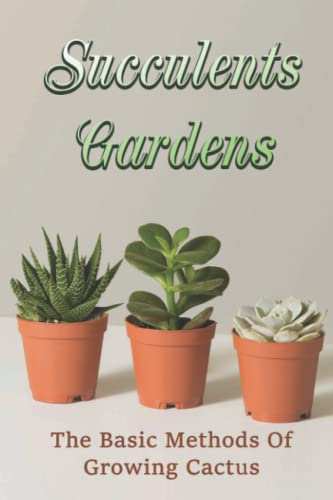 Succulents Gardens: The Basic Methods Of Growing Cactus