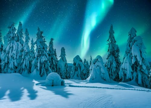 CORFOTO 2.1x1.5m Aurora Borealis Hintergrund Winterszene Polarlichter Fotografie Kulisse Schnee Kiefern Bäume Kulisse Schneeig Iglu Hintergrund Weihnachtsdorf Dekor Kulisse Fotokabine