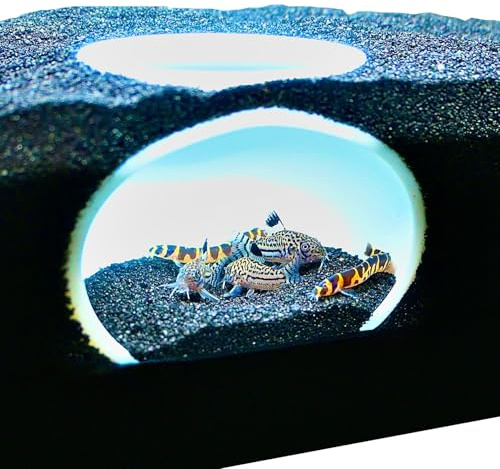 Lucky Critter Aquarium Underground Cave Dome | Viewing Fish & Shrimp Under Gravel Tunnel | Fish Tank Decor Decoration Hideout Perfect for Corydora Catfish, Kuhli Loach, Clown Loach, Pleco (White)