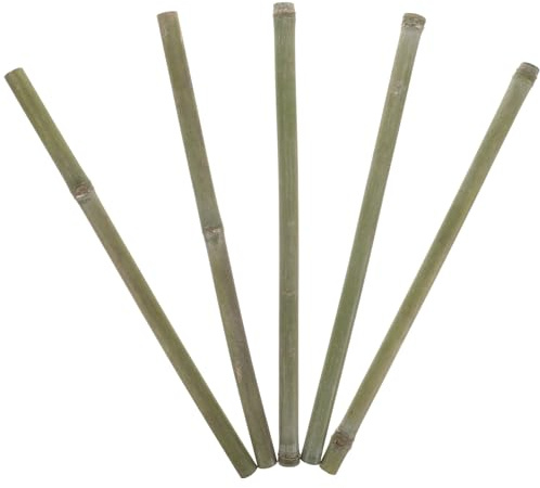 DIYEAH Lot de 5 Tuteurs en Bambou Naturel 40 CM Ø 1-2 CM Support pour Plantes Grimpantes et Légumes Jardin Treillis Végétal Décoratif Polyvalent pour Pot et Jardin