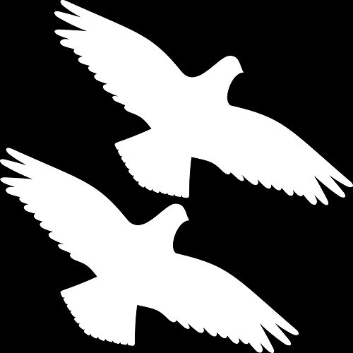 GreenIT 2 Stück 30cm weiß Habicht Greifvogel Vogel Fenster Schutz Warnvogel Warnvögel Aufkleber Tattoo die Cut Deko Folie