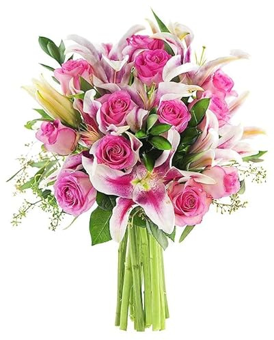 KaBloom - Bouquet of 12 Pink Rose 5 Stargazer Pink Lily With Lush Greens without vase - Fresh Flowers for Birthday, Valentine's & Mother's Day