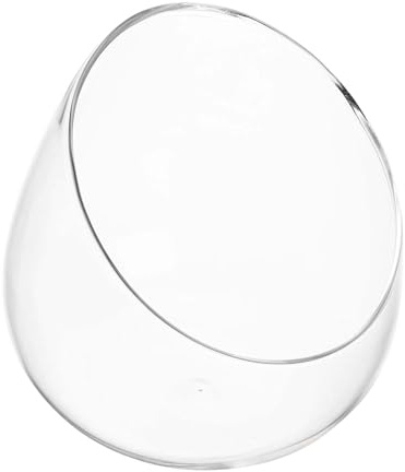 SHINEOFI Pflanzen Terrarium Glasbehälter Schräg Verlaufend Klar mit Deckel für Fleischfressende Pflanzen und Moos im Innenbereich als Dekoratives Glasgefäß