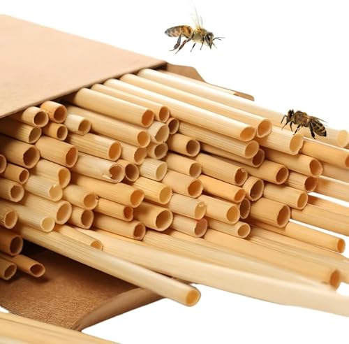 600 Stück Niströhren Für Wildbienen 20 cm Länge Nisthülsen Insektenhotel Füllmaterial Weizenhalme Nisthilfen Bienenhotel Röhrchen DIY Bienenhotel Bausatz,Für Bienen Und Insekten