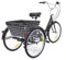 TFCFL Dreirad für Erwachsene 24 Zoll 8 Gang - 3 Rad Fahrrad mit Einkaufskorb Erwachsenendreirad bis 120KG Belastbar Dreirad Fahrrad höhenverstellbar Tricycle Fahrrad Cruiser Bikes für Senioren