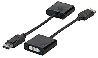 EFB DisplayPort/DVI 24+5 Adapter, Full HD