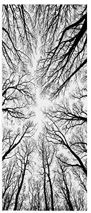 Türaufkleber Selbstklebend 3D Türtapete TürPoster Fototapete PVC Türfolie Abnehmbar und Aufkleben Wasserdichte Wandtapete für Wohnzimmer Schlafzimmer Küche 100x210 cm Wald-Landschaft