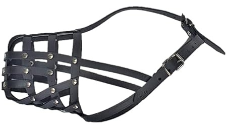 L&J Pets Uk Leichter Maulkorb aus Leder für Spitz, Pudel, Husky und andere Hunde mit ähnlicher Schnauzengröße (5, Schwarz)
