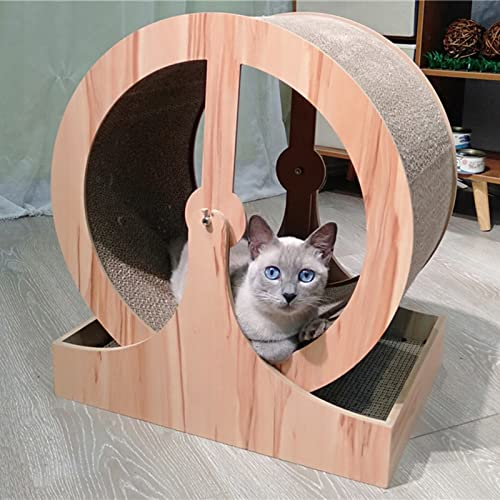 ROYUMI katzenlaufrad Kratzbrett Katzenlaufrad, Katzenlaufband Zum Abnehmen, Hamsterrad für Katzen Kleine Hunde, Haustier Katze Laufrad Kratzbrett