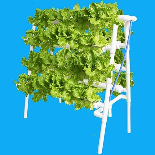 ZHEYANG Aquaponie Kits De Culture Aquaponique Jardin D'Herbes Aromatiques par Nutrabinns | pour Herbes, Fruits Et Légumes | Blanc 0825