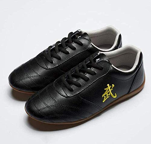 RDJSHOP Mens Martial Arts Shoe Kung Fu Tai Chi Shoes Breathable Non-Slip Sneaker for Daily Training Morning Exercises,Black-EU47