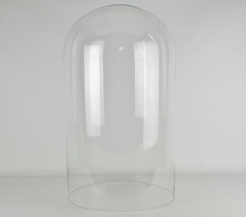 EMH Large Handmade Mouth Blown Clear Circular Glass Display Cloche Bell Jar Dome 50x25 cm
