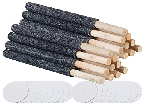 Semptec Urban Survival Technology Partyfackel: 20er-Set Wachsfackeln inkl. Handschutz, je bis zu 45 Min. Brennzeit (Fackel für den Außenbereich, Fackel mit Handschutz, Beleuchtung)