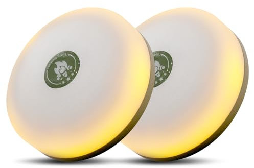 HAMLITE Camping Light String, Rechargeable Battery Fairy Lights 20M Camping String Lights Reel, Easy Organize &Multiple Modes, Camping Lights Outdoor for Tent, Christmas Decor, Yard, Party