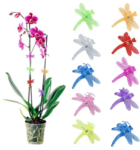ACAREY 10 Stück Orchideen Klammern Pflanzenclips, 3.5cm Transparent Pflanzenklammern, Garten Pflanzen Clips, Pflanzen Klammern für Unterstützen und Halten Pflanze (10 Stück)