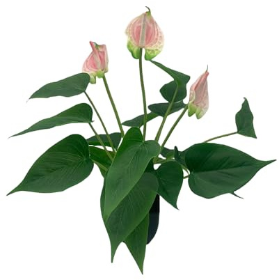 DODXIAOBEUL Künstliche Topfblumen, Anthurium, künstliche Bonsai, tropische Grünpflanze, für drinnen und draußen, Haus, Garten, Büro, Veranda, Hochzeitsdekoration, Rosa, 40 cm