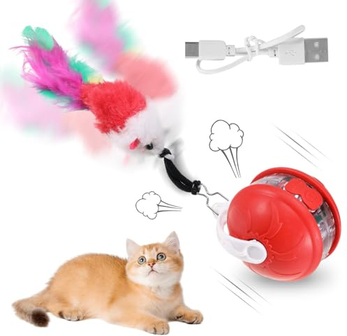 Katzenball Elektrisch Wiederaufladbar mit Powerball Interaktives elektrisches Katzenspielzeug Elektrisch Ball Selbstbeschäftigung Interaktiver Spielball für Katzen 360°Katzenspielzeug Bälle Elektrisc