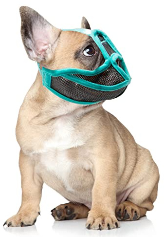 Sonew Maulkorb für Hunde mit kurzer Schnauze, atmungsaktiv, Netz Maulkorb für Hunde, Beißen, Kauen und Lecken, Flacher Maulkorb für Französische Bulldogge, Shih Tzu und Mops (M)