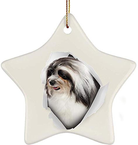 Weihnachtsanhänger Keramik Weihnachtsdeko Mit Schnur Weihnachtsschmuck Weihnachten Deko Lustiger Havaneser Hund Schwarz Weiß Kommt Aus Rissiger Wand