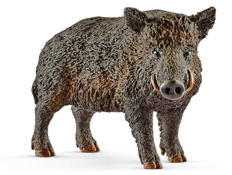 Genérico Modelos de Jabalíes - Realista de Cerdo Salvaje, Animales de Granja educativos, Modelos detallados y coleccionables jabalíes | Aprendizaje sensorial y encuesta