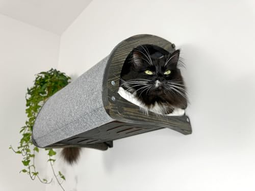 RshPets® Wandhöhle für Katzen – Wandmontierte Katzenhöhle mit weichem Kissen – modernes Katzenbett aus Birkenholz und Stoff – platzsparendes Design – stabile Katzenhöhle 43x34 cm (Dunkle Farbe)
