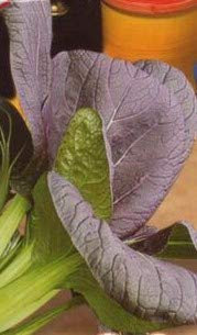 100 Seeds of Vegetable Pak Choi Red Choi F1
