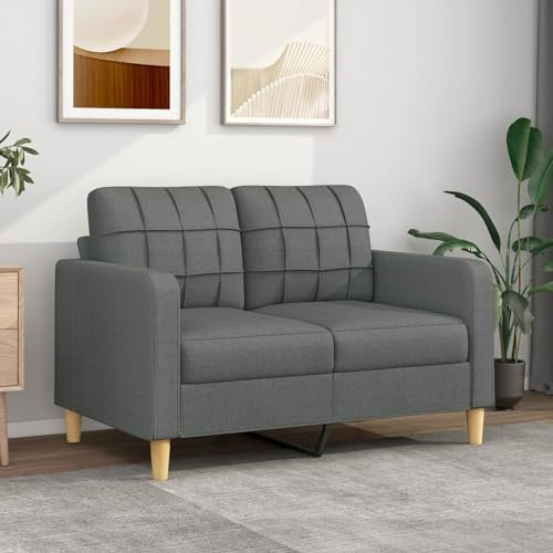 Mengtu 2-Sitzer-Sofa Loungesofa mit Lehne Polstersofa Doppelsofa Wohnzimmersofa Gästesofa Sofa Couch Modern Sofa Wohnzimmermöbel Dunkelgrau 120 cm Stoff