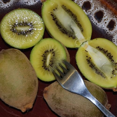 Plant World Seeds - Kiwi Fruit Golden Seeds (Tropical Fruit Seeds)