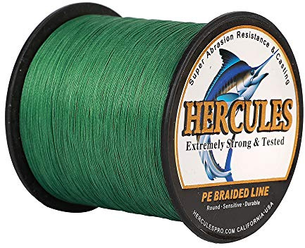 Hercules Super Strong 300M 328 Yards Braided Fishing Line 60 LB Test for Saltwater Freshwater PE Braid Fish Lines 4 Strands - Green, 60LB (27.2KG), 0.40MM