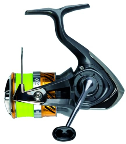 Daiwa 20 Laguna Lt 3000-C Jb4 0.19Yl - Spinnrolle + Geflechtschnur, Stationärrolle zum Spinnfischen, Rolle