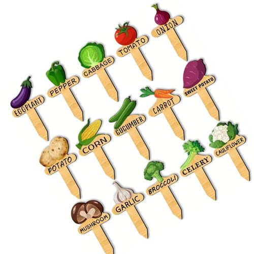 Pocoiau Pali da Giardino Dipinti da 15 con Etichette Impermeabili per Verdure Piantare Contenitori Pali Piante in Legno Durevoli