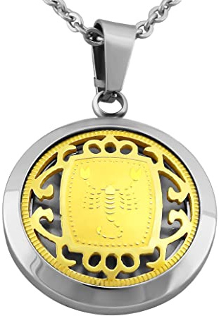 Hanessa Sternzeichen Halskette in Silber – Edelstahl Kette mit Anhänger & Gravur – Personalisierter Schmuck für Damen & Herren, 50-60 cm – 12 Sternzeichen zur Auswahl