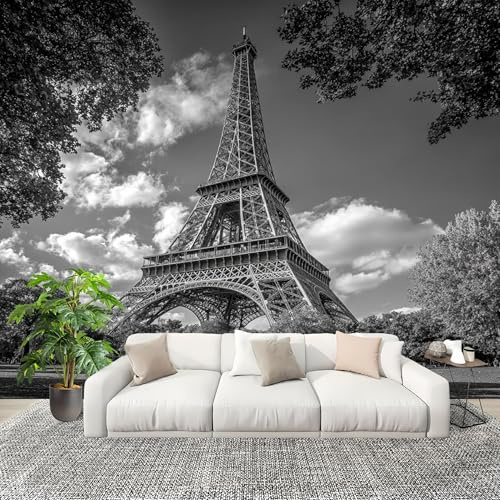 Grande taille Papier Peint de Photo 350x256 cm Paysage Architectural De La Tour Eiffel Peler Et Coller Papier Peint Panoramique intissé Murale Gris Foncé Pour Salon Chambre Enfant Chambre Décoration
