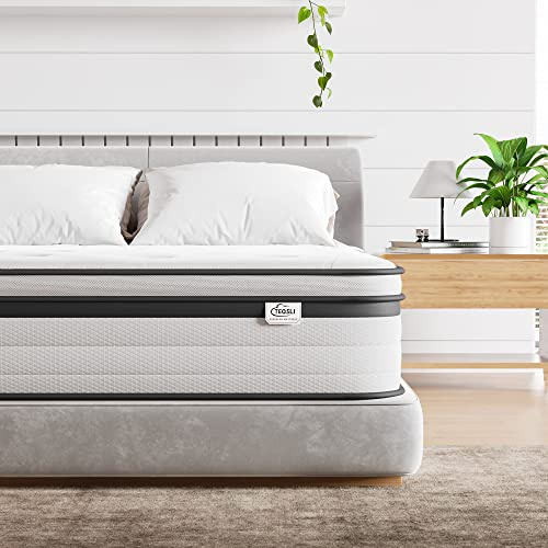 TeQsli King Mattress 5FT Memory Foam Spring Hybrid Mattress 27CM