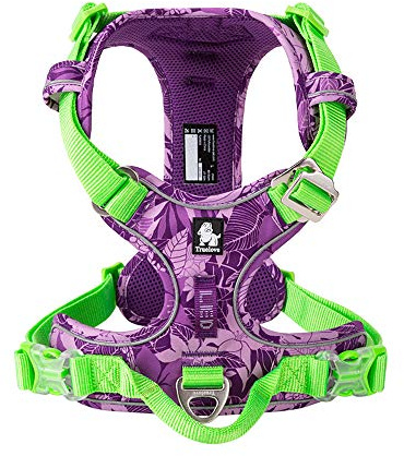 WINHYEPET True Love No-Pull Hundegeschirr, verstellbare Außenweste Reflektierendes Nylon-Geschirr für weiche Haustiere Hund Geeignet Kleine Mittelgroße Rassen TLH5653 (Amouflage Lila, M)