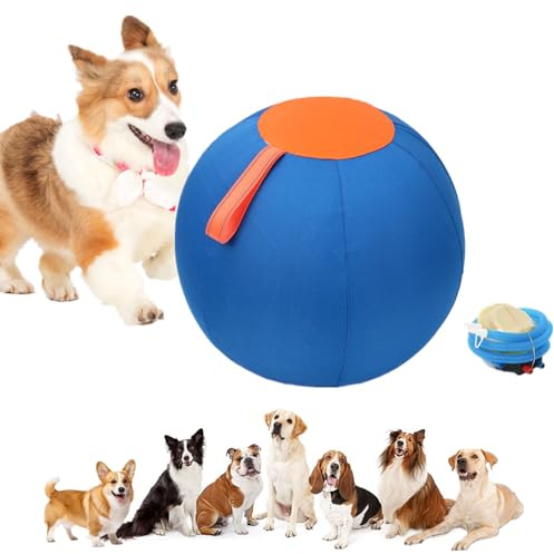 bangminda Palla giocattolo per cani, 9,8, robusta, set di grandi palline per cani, animali domestici, interattive, per allenamento, sport all'aria aperta, giocattolo per cavalli (25 cm)