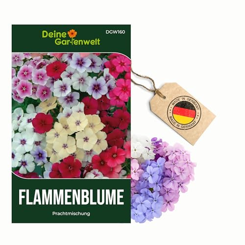 Flammenblumen Prachtmischung Samen - Phlox drummondii - Phloxsamen - Blumensamen - Saatgut für 50 Pflanzen