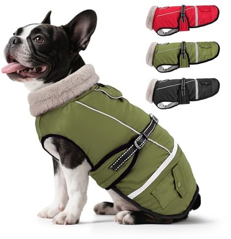 Woiil Hundemantel Winter, Hundemantel Wasserdicht für Kleine Hunde mit Verstellbaren Schultergurten, Hundejacke aus Fleece, Reflektierende Streifen, Geeignet für Französische Bulldogge(S,Olivgrün)