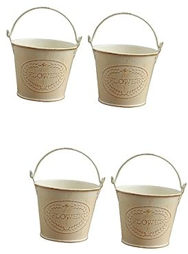 BESPORTBLE 4 Stück Pflanzgefäß Im Freien Kaktuspflanze Hängepflanzen Im Innenbereich Sukkulenten Mini-töpfe Für Zimmerpflanzen Blumentopf Landpflanzer Alte Vase Halterung Becken Metall Eisen