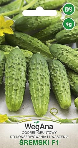 WegAna Gemahlene Gurke Śremski F1 4g, Robuste Gemüsesamen Gemüse Samen Anzucht Saatgut Balkon & Garten