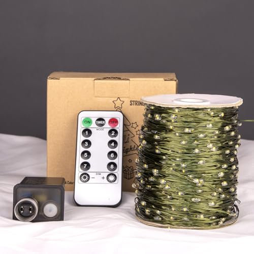 PCORES Ghirlande luminose 30 m 300 LED, con spina, telecomando e timer, filo di rame verde impermeabile, luci scintillanti per Natale (bianco caldo, adattatore incluso)
