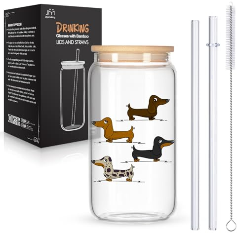 Joymaking Trinkglas mit Deckel und Strohhalmen für Eiskaffee Cocktails Fruchtlikör Eistee Soda 17oz, Longdrinkgläser Dackel, Dackel Geschenke, Eulenschnitt Glas